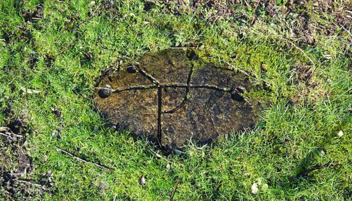 The Dalgarven Mill cup and ring mark stone replica,
