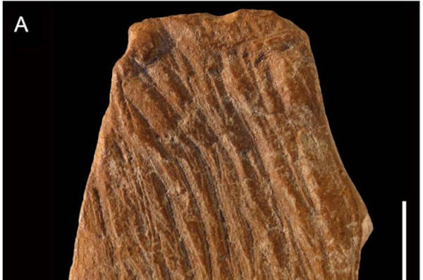 Ochre fragment showing deliberate parallel incisions 