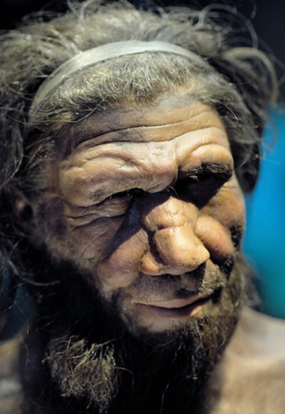 Representation of a Neanderthal man's face