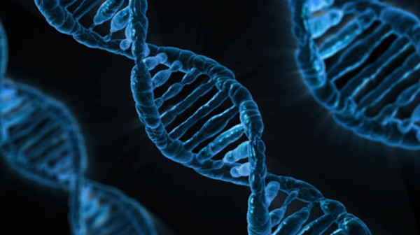 DNA helix image