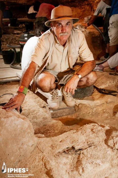 Professor Eudald Carbonell, who began excavating Abric Romaní in 1983, at the location of the club-like object find.