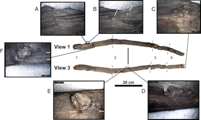 Overview of 940/673-39. Fragments 1 through 4 numbered in gray. Cutaway images show areas of evidence of use as a tool. 