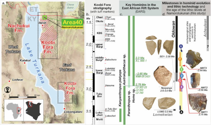 Infographic of the study, showing map of the Lake Turkana and where the tools were found, hominins in the area and development of stone tools over time.