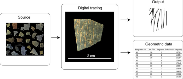Infographic explaining the digital tracing of a fragment of ostrich eggshell. 
