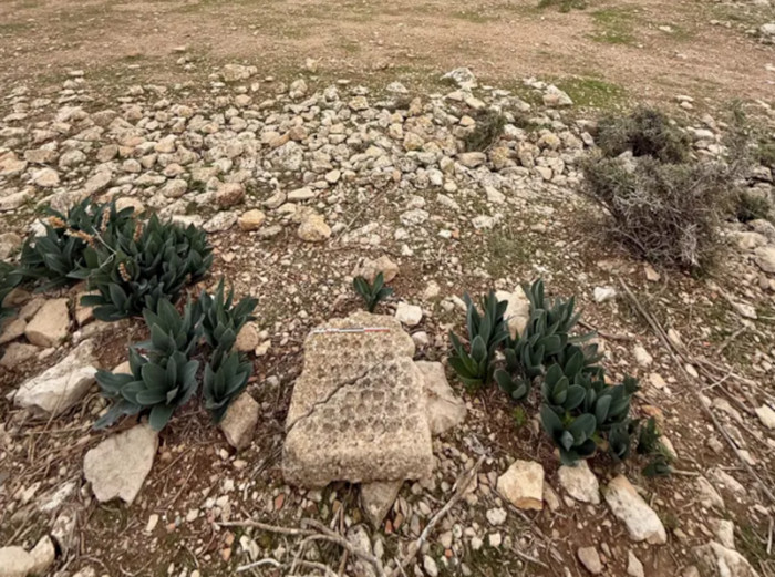 nother of the game boards found in the ancient city