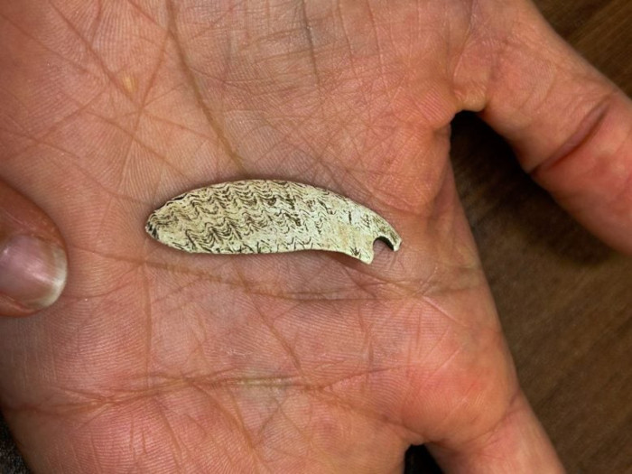 Detail of the pendant made of Glycymeris sp. recovered during the excavations.