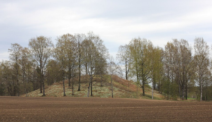 Raknehaugen burial mound in the Fall.