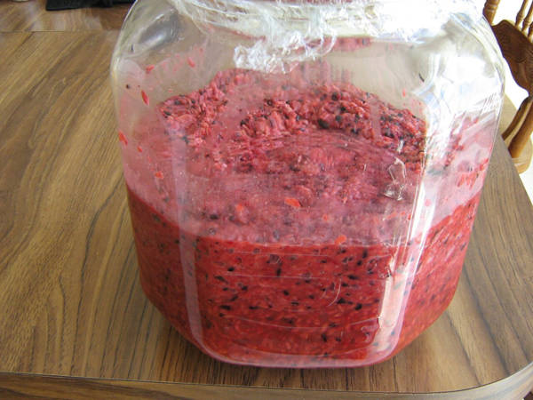 Red rice wine preparation.