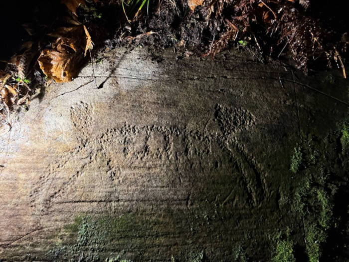 Carving of an animal