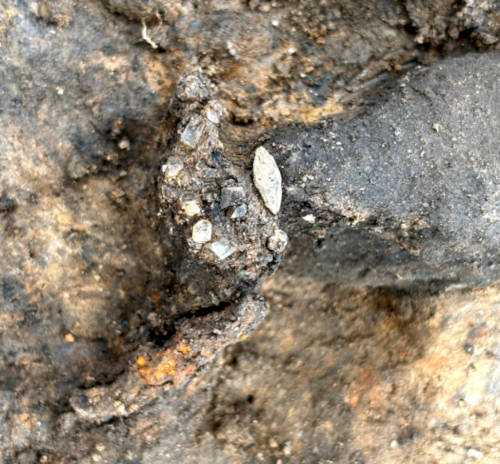 A collection of unidentified crystals or glass elements arranged in a fan shape 