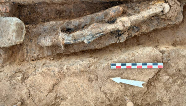 As yest unidentified object from the burial.