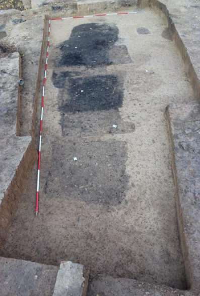 Numerous pits found in excavation.