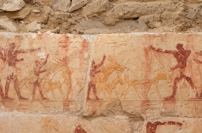One of the well-preserved reliefs at the tomb depicting agricultural practices.