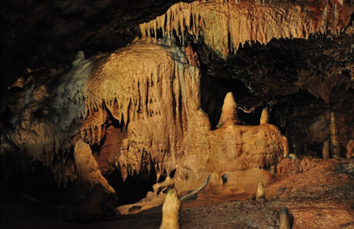 تكشف قلادة أسنان الفقمة التي يبلغ عمرها 15000 عام عن ثقافة العصر الجليدي