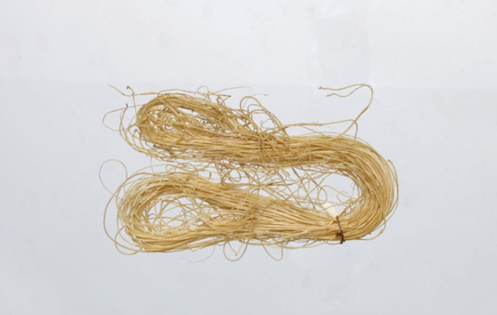 Ivalu, or tendon thread, made by Inuit in northern Greenland between 1900 and 1928