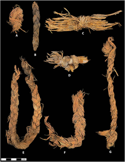 Large cordage and knotted bark from Cougar Mountain Cave
