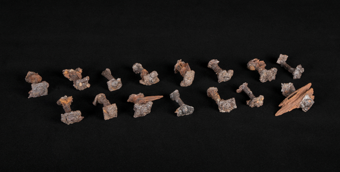 Iron clinker nails recovered from Herlaugshaugen during the 2023 excavation.