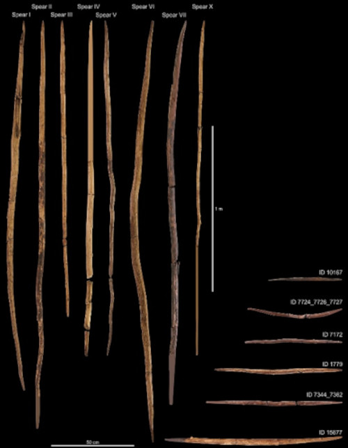 Wooden spears and pointed sticks from Schöningen, Germany.