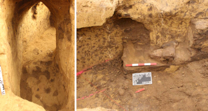 Features of the tunnel.