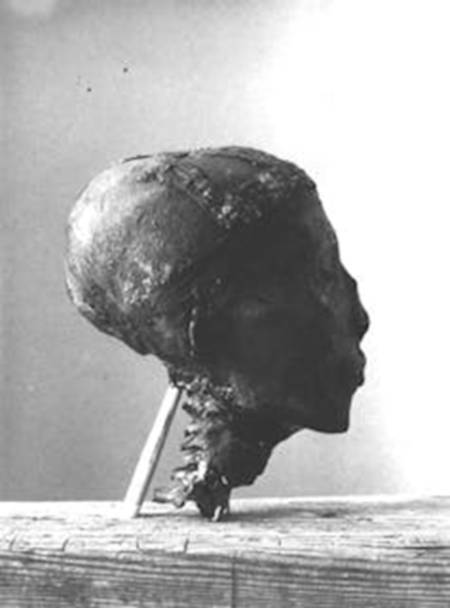 Mummified head of Tutankhamun