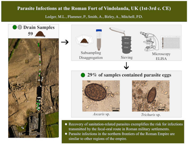 Infographic explaining parasite finds in Vindolanda