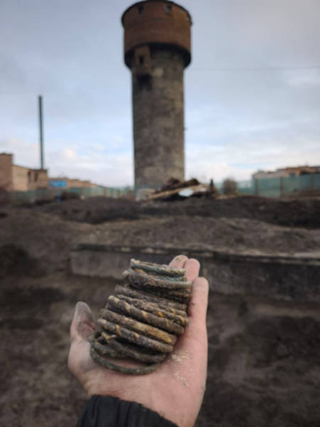 Rings discovered at the Apostolshchyna site
