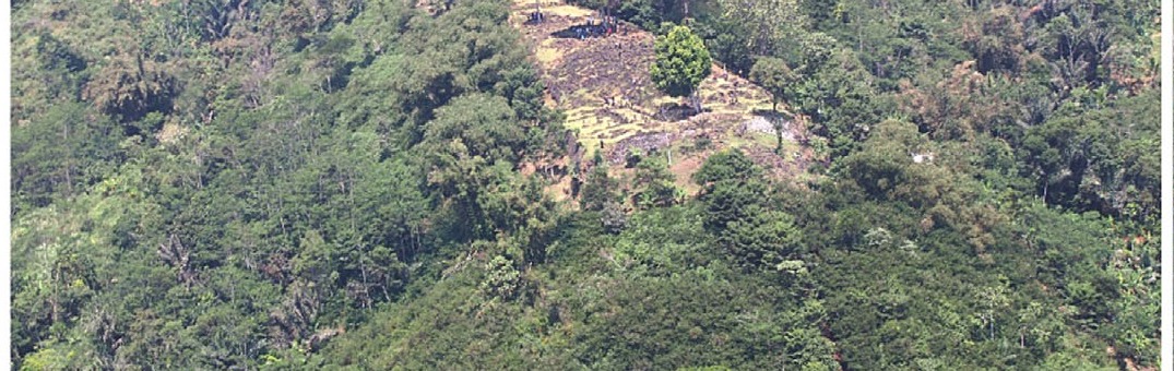 Aerial photo of a forested hill with cleared stone terraces near its summit