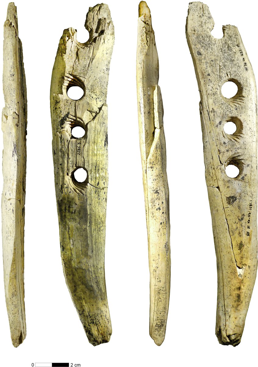 A long piece of worked mammoth ivory with four drilled holes, shown from several sides