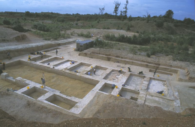The Boxgrove archaeological site from the 1990s