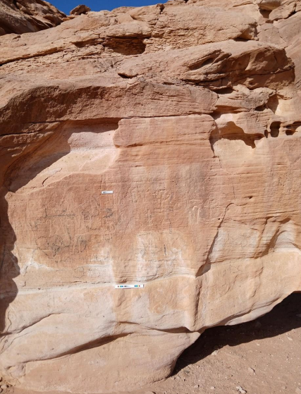 Rock panel in Wadi Khamila, Sinai.