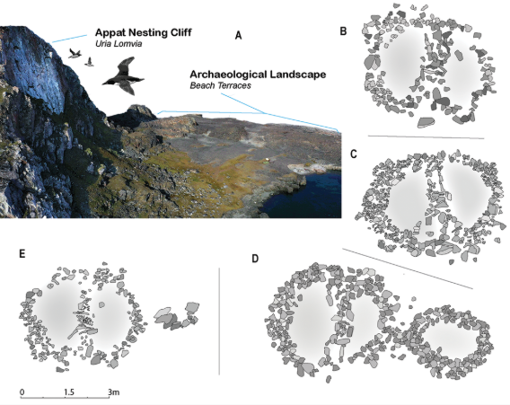 Early Paleo-Inuit features on Isbjørne Island;
