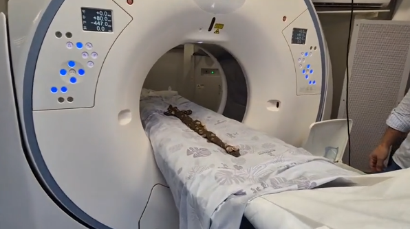 The sword passing through a CT scanner to help analysis. 