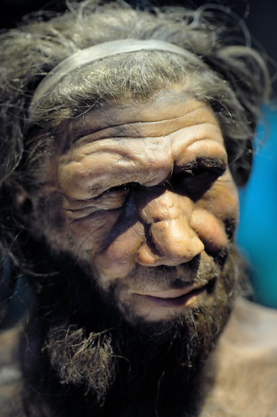 Artistic reconstruction of a Neanderthal man