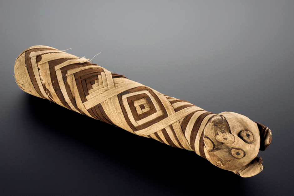 Ancient Egyptian mummified cat, a fitting comparison for the Ptolemaic-period cat mummies found at Dra Abu El-Naga.