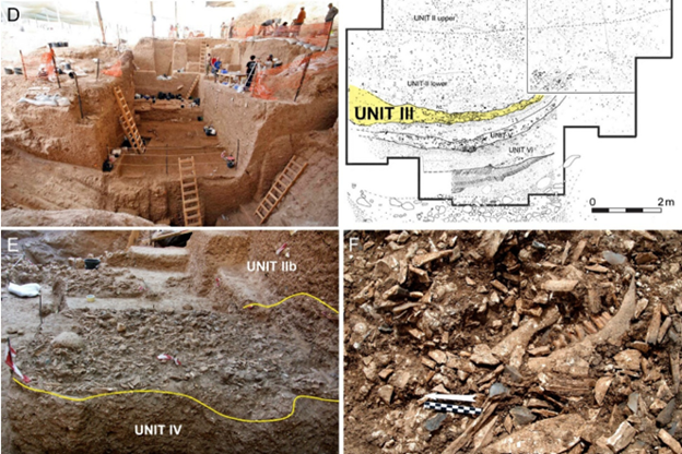 Various views of the discovery site.