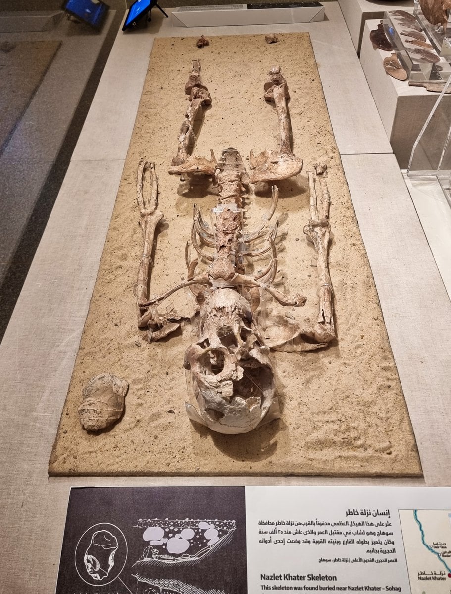 Viral '37,000-Year-Old' Face From Egypt Carries a Commercial App's Branding
