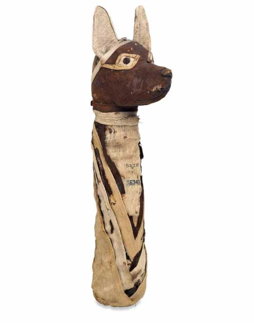 Mummified jackal in linen wrappings. Found in Thebes, Egypt. (Trustees of the British Museum / CC by SA 4.0)