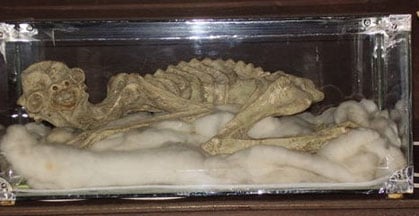 Kappa mummy