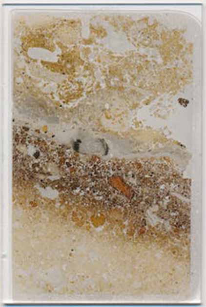 A microscope slide showing traces of an ancient fireplace at Liang Bua cave. (Mike Morley/The Conversation)