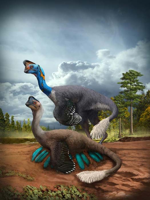 Un vigilante dinosaurio terópodo oviraptórido incuba su nido de huevos azul verdosos mientras su compañero observa en la actual provincia de Jiangxi, en el sur de China, hace unos 70 millones de años. (Zhao Chuang)