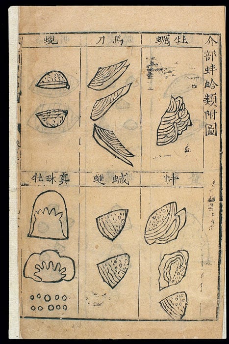 A page from the Ben Cao Gang Mu, or Chinese materia medica, with six types of shellfish and their medical uses. (Public domain)