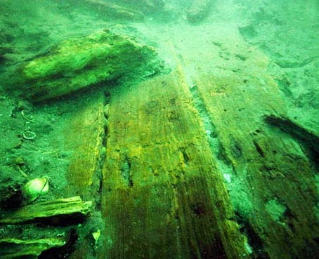 Planks from the mongolian wreck in Japan