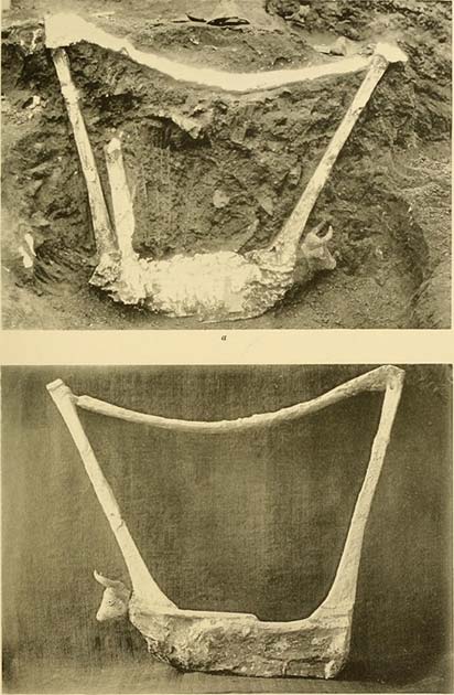 The plaster cast of one of the wooden lyre in situ during excavations at Ur and after being removed from the earth. (Public domain)