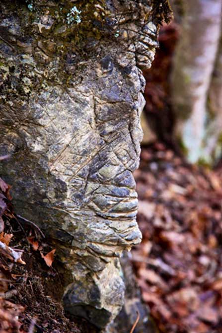 Rock cuts, or possible petroglyphs