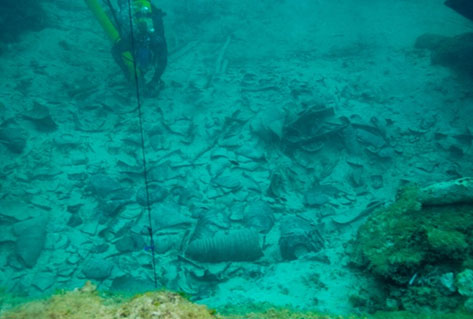 Punic Shipwreck Cargo Remains