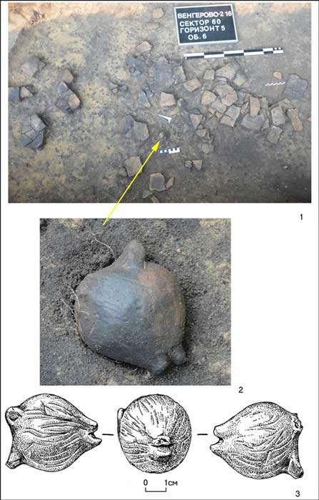 There are little stones inside. We don't know what kind of stones these are, but we will be doing an X-ray to find out. The rattle is still working.' Picture: Lyudmila Mylnikova / Institute of Archaeology and Etnography SB RAS.