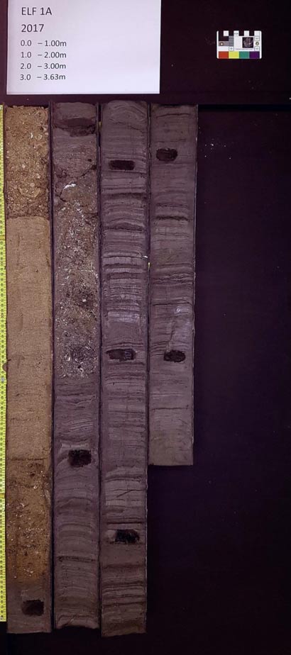 The sediment of which the sedaDNA was studied