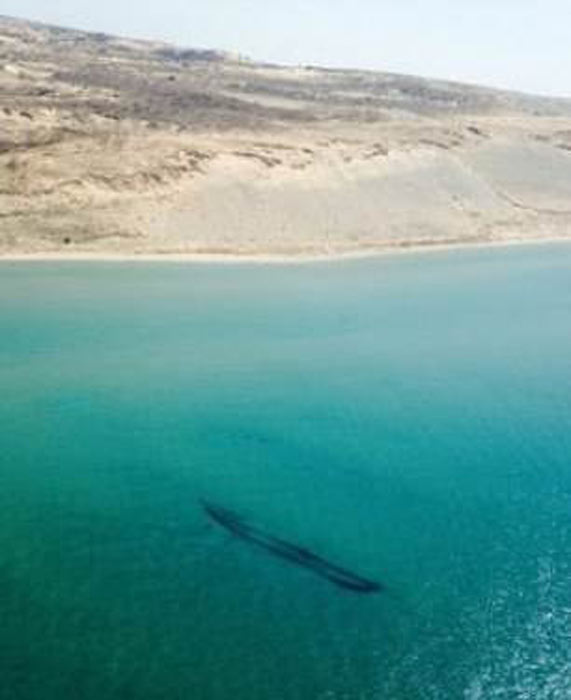 The shipwreck of the James McBride, a 121-foot-long (37-meter-long) brig that was lost in a storm in 1857. (Mitch Brown / U.S. Coast Guard Air Station Traverse City)