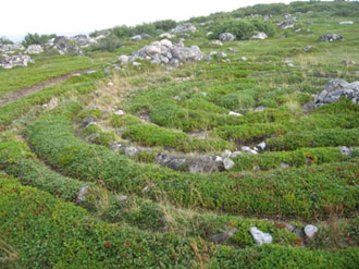 One of the stone labyrinths on Bolshoi Zayatsky Island