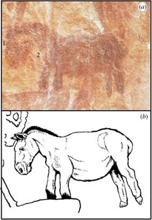 该研究声称，亚马逊岩画的另一部分是对马的描绘。 批评者不太确定。 （Iriarte 等人/皇家学会 B）